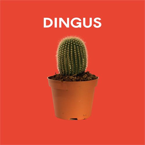 Dingus Dingus (LP)